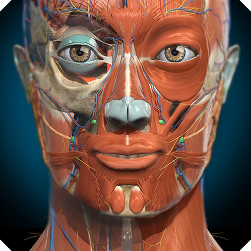 Anatomy Learning