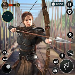 Archer Assassin shooting game
