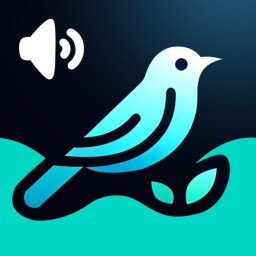 Bird Sounds