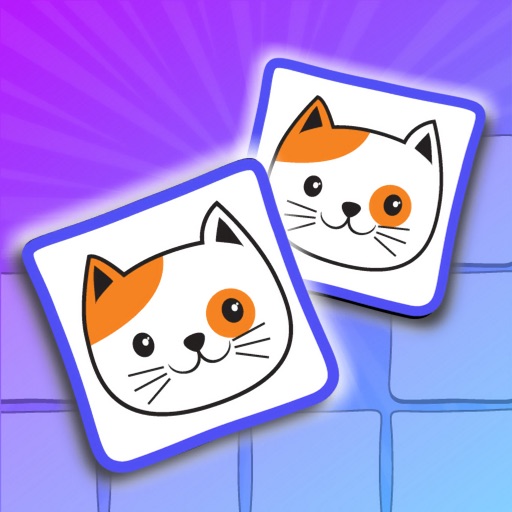 Connect Masters