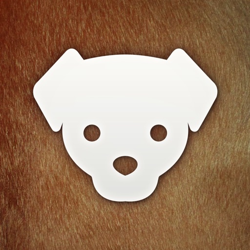 Dog Translator