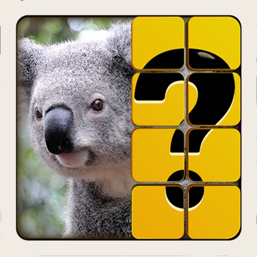 Guess The Picture