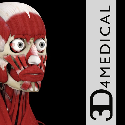 Muscle System Pro III - iPhone Edition