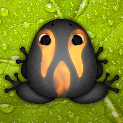 Pocket Frogs