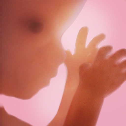 Pregnancy