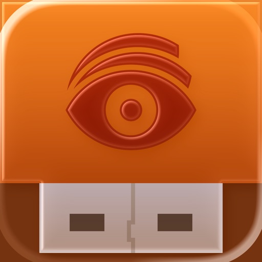 USB Disk Pro