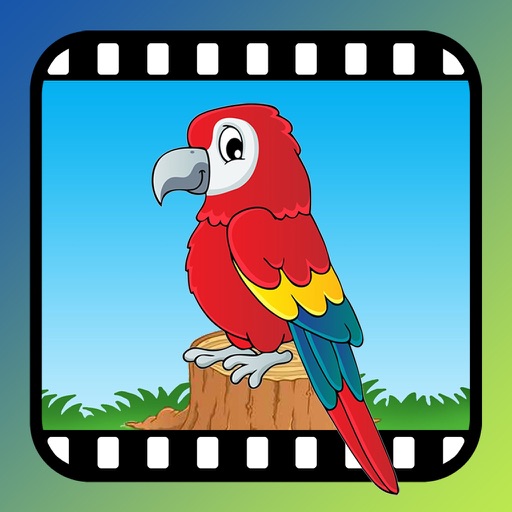 VideoTouch-Birds