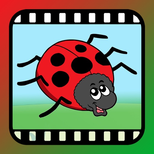 VideoTouch-Bugs