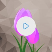 Video Color